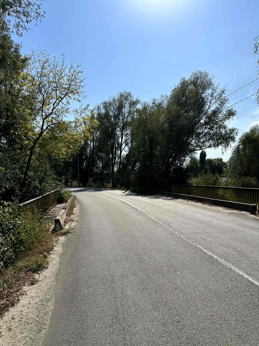 1813596219084549