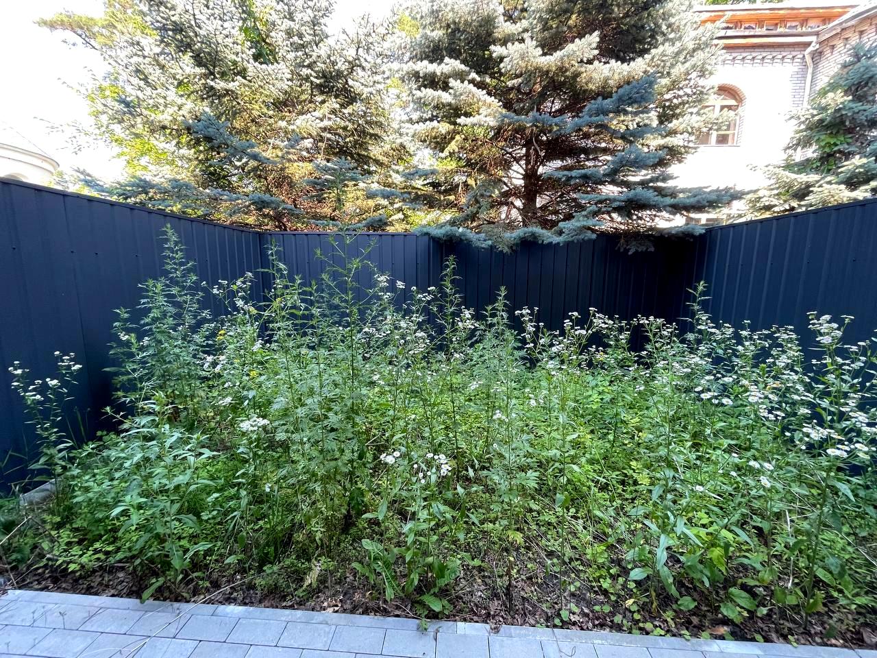 House by the address st. Yaroslavskaya (area 120 m²) - Atlanta.ua - photo 15