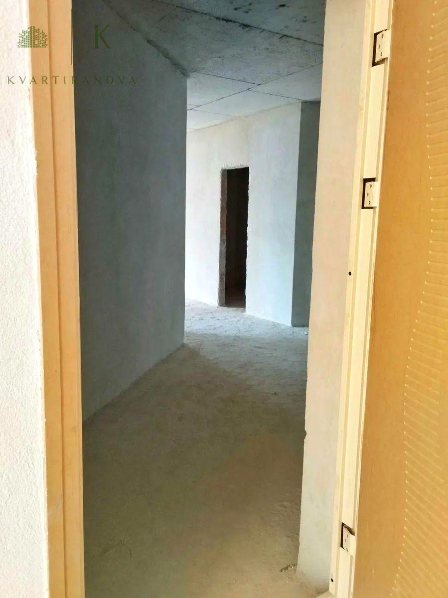 1838157948014554.jpg