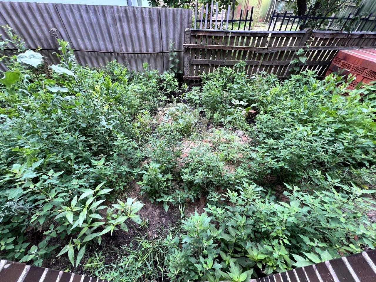 Дом по адресу (площадь 90 м²) - Atlanta.ua - фото 8