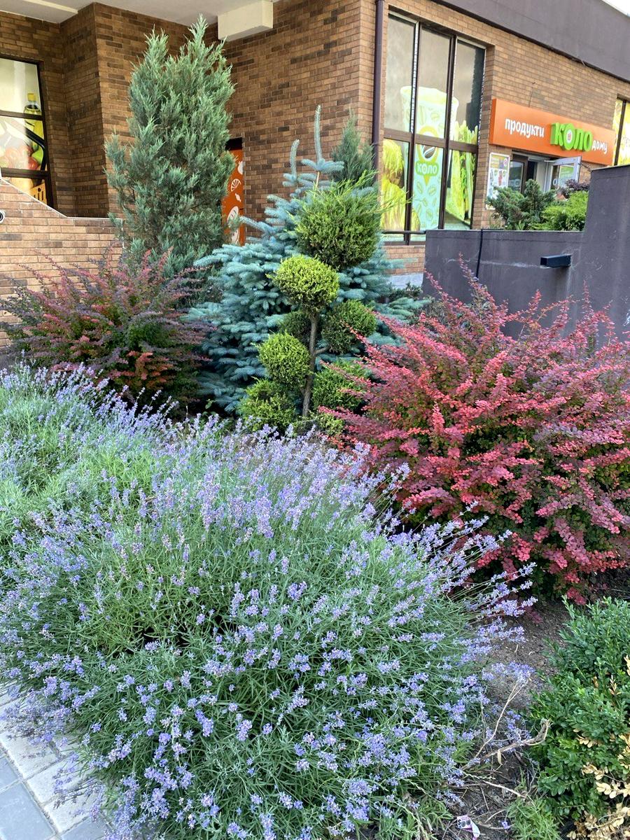 3-rooms apartment apartment by the address st. Marselskaya (area 70 m²) - Atlanta.ua - фото 39