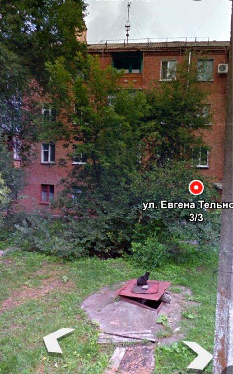 1842967378456570.jpg