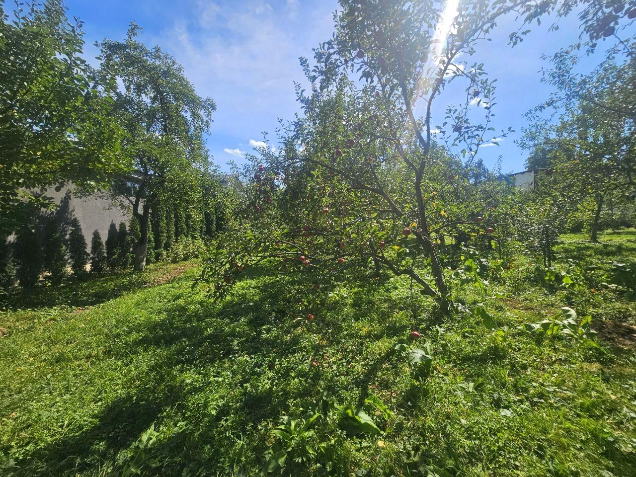 1842778611067597