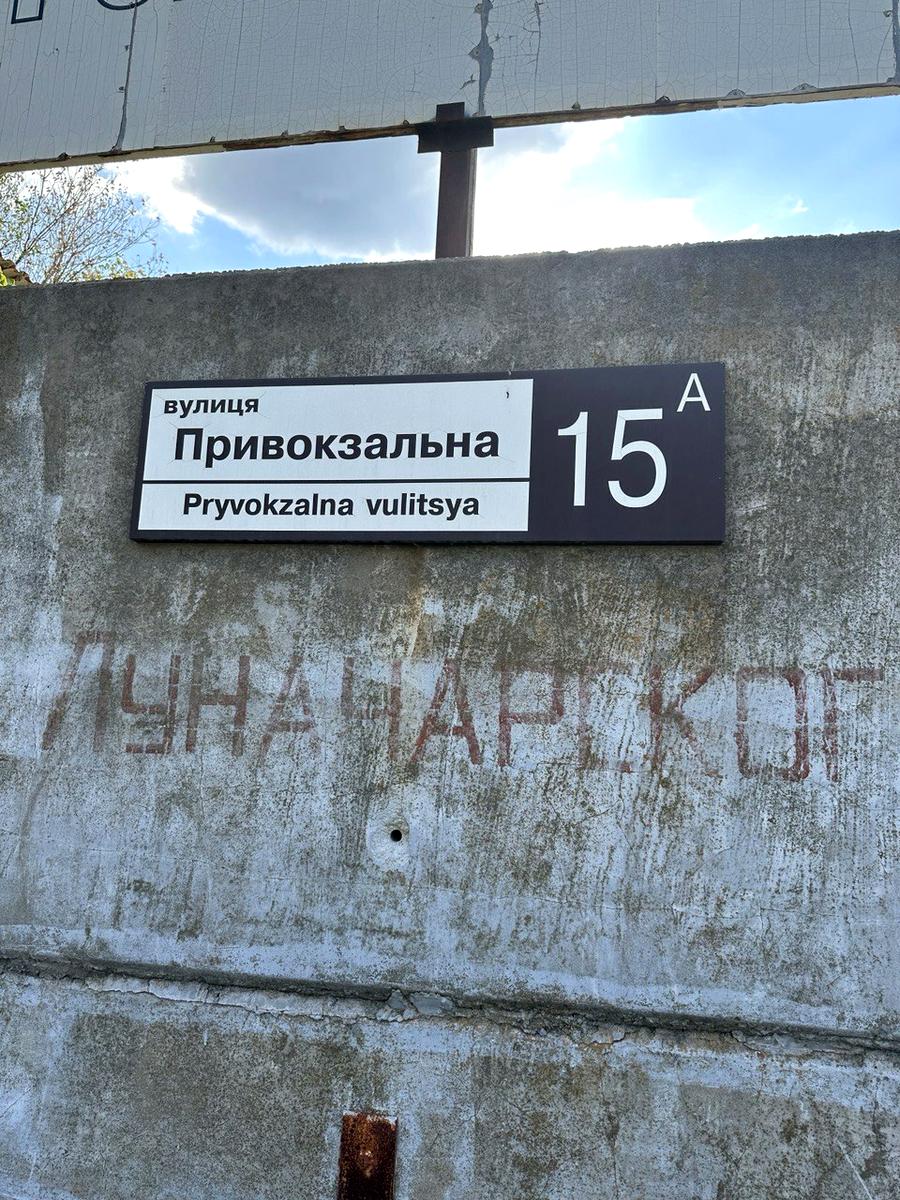 1806819706175006