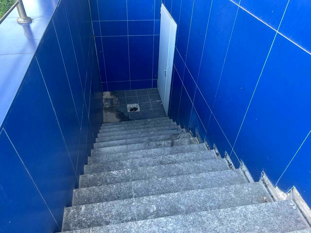 1810177229151006