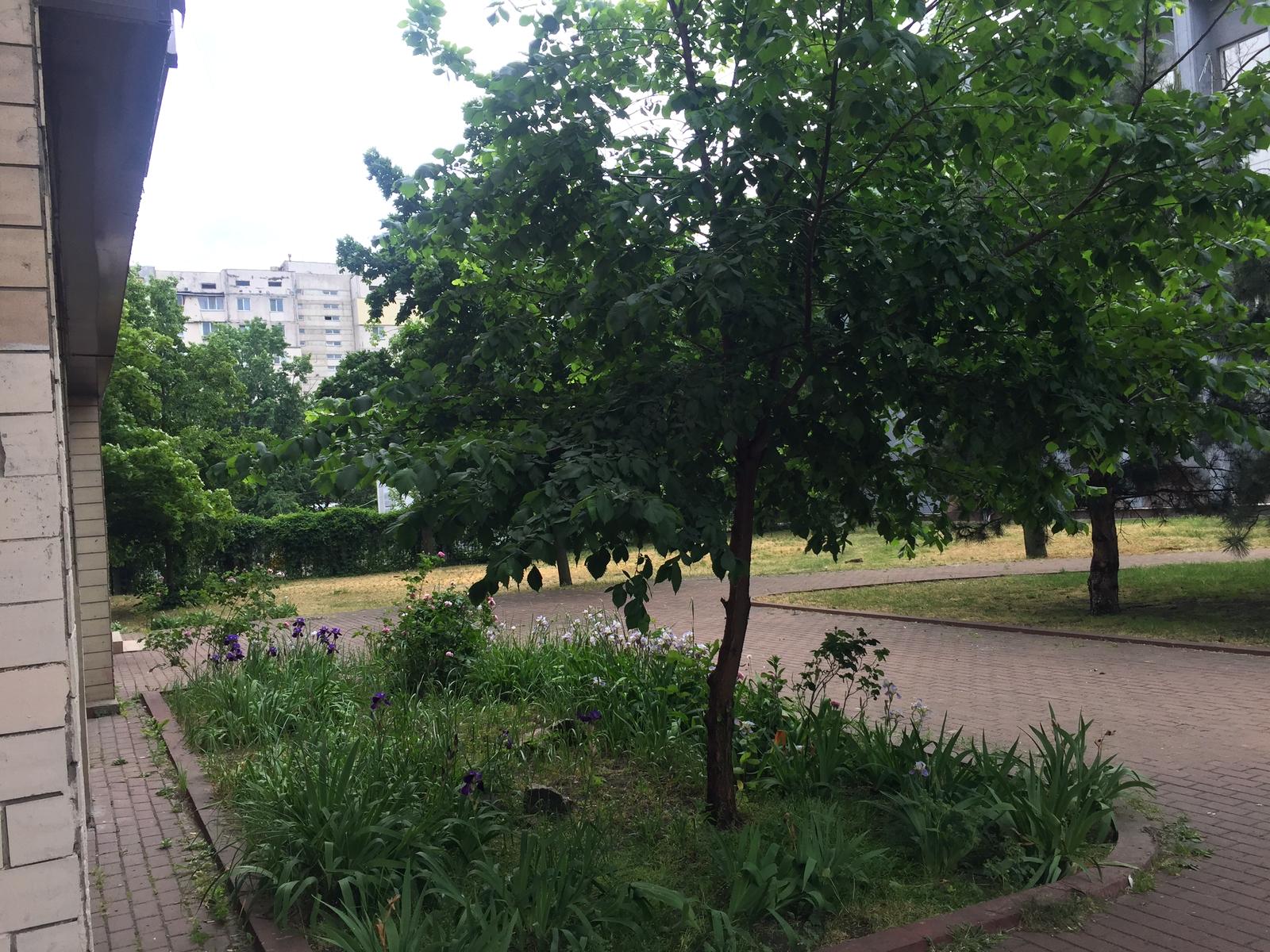 3-комнатная квартира по адресу ул. Лукьяненко Левка(Тимошенко) (площадь 82 м²) - Atlanta.ua - фото 29