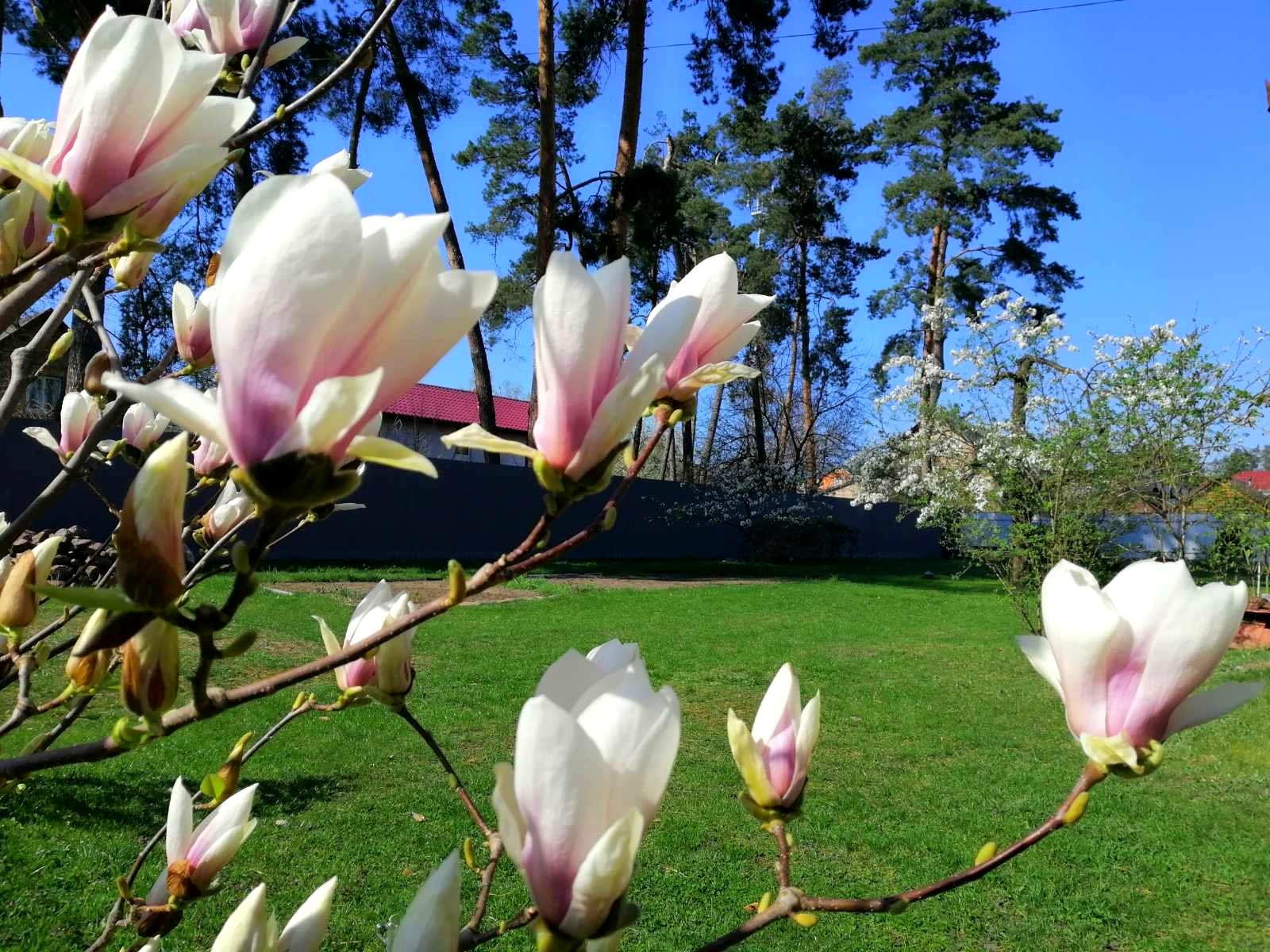 Дом по адресу ул. Варшавская (площадь 67 м²) - Atlanta.ua - фото 12