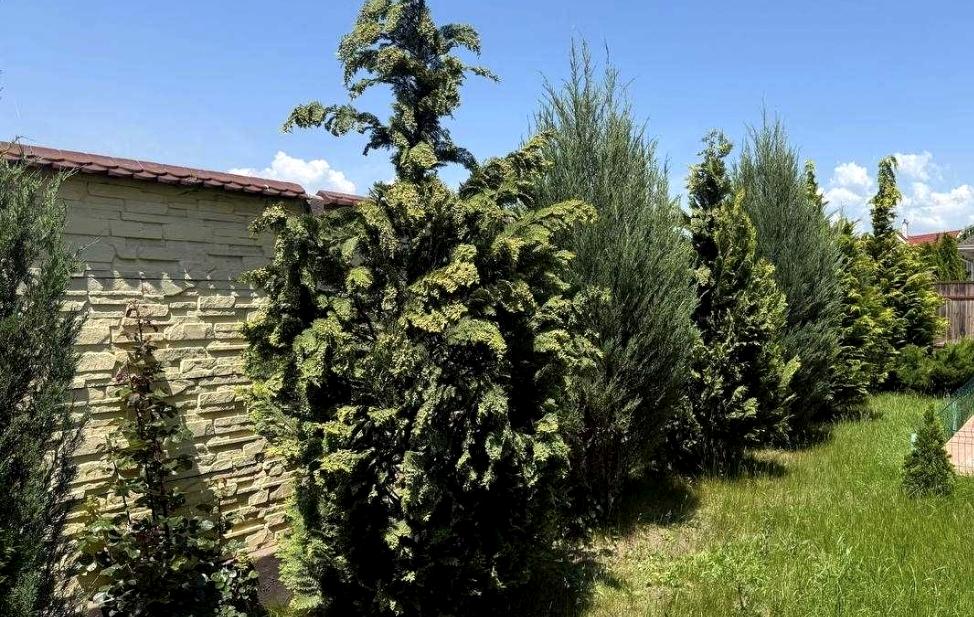 Будинок за адресою (площа 170 м²) - Atlanta.ua - фото 6