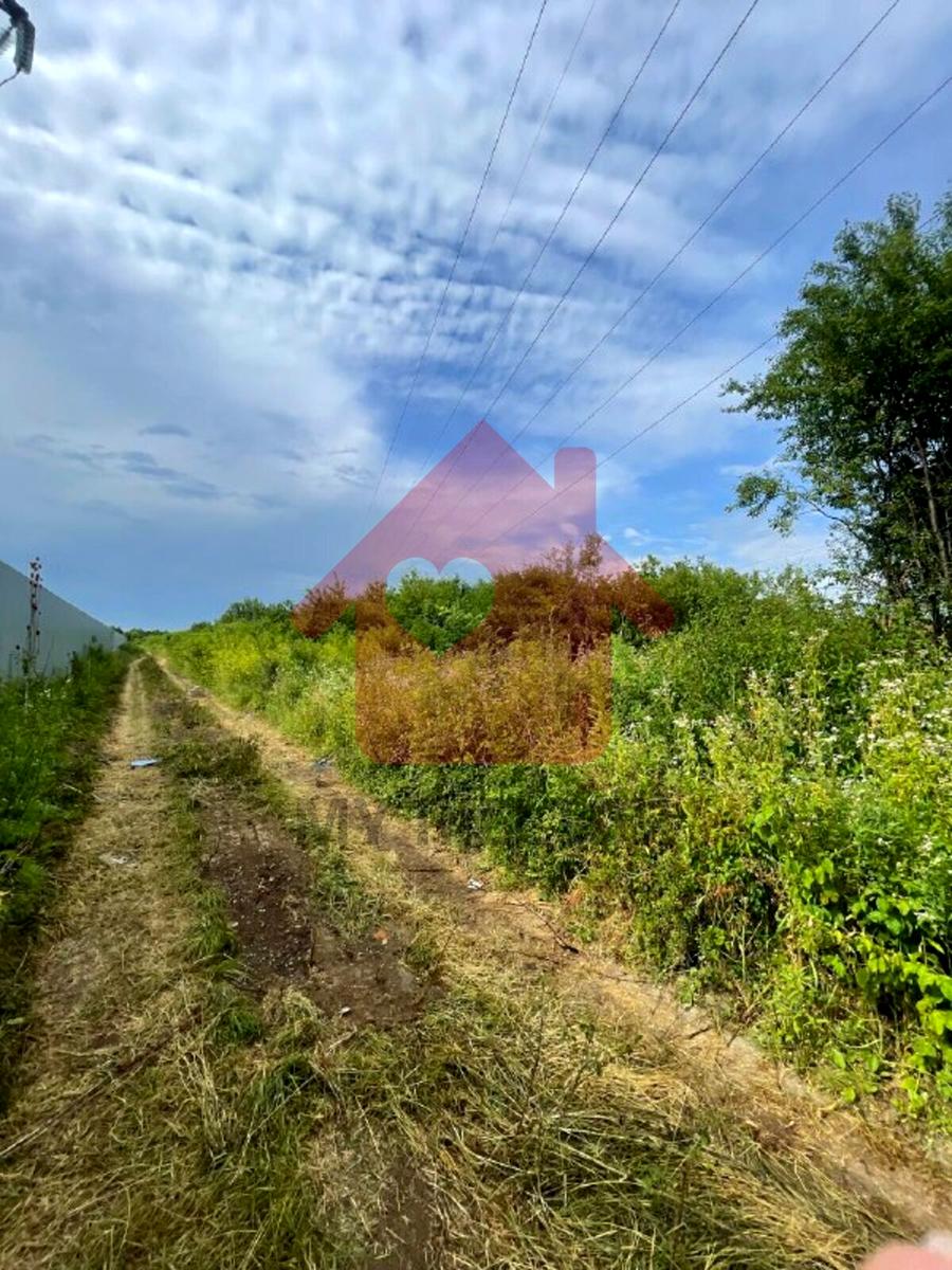 1842860701501061.jpg