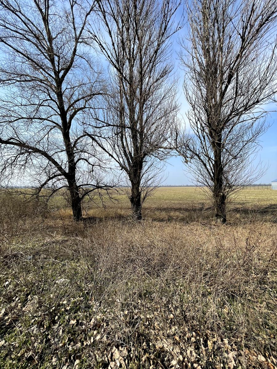 1826929874938615