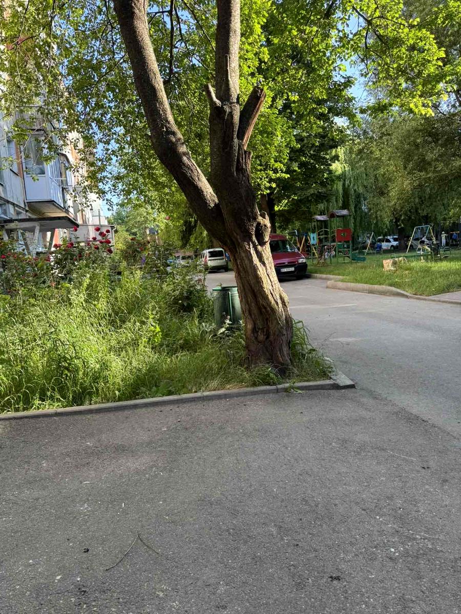 1835894105046615