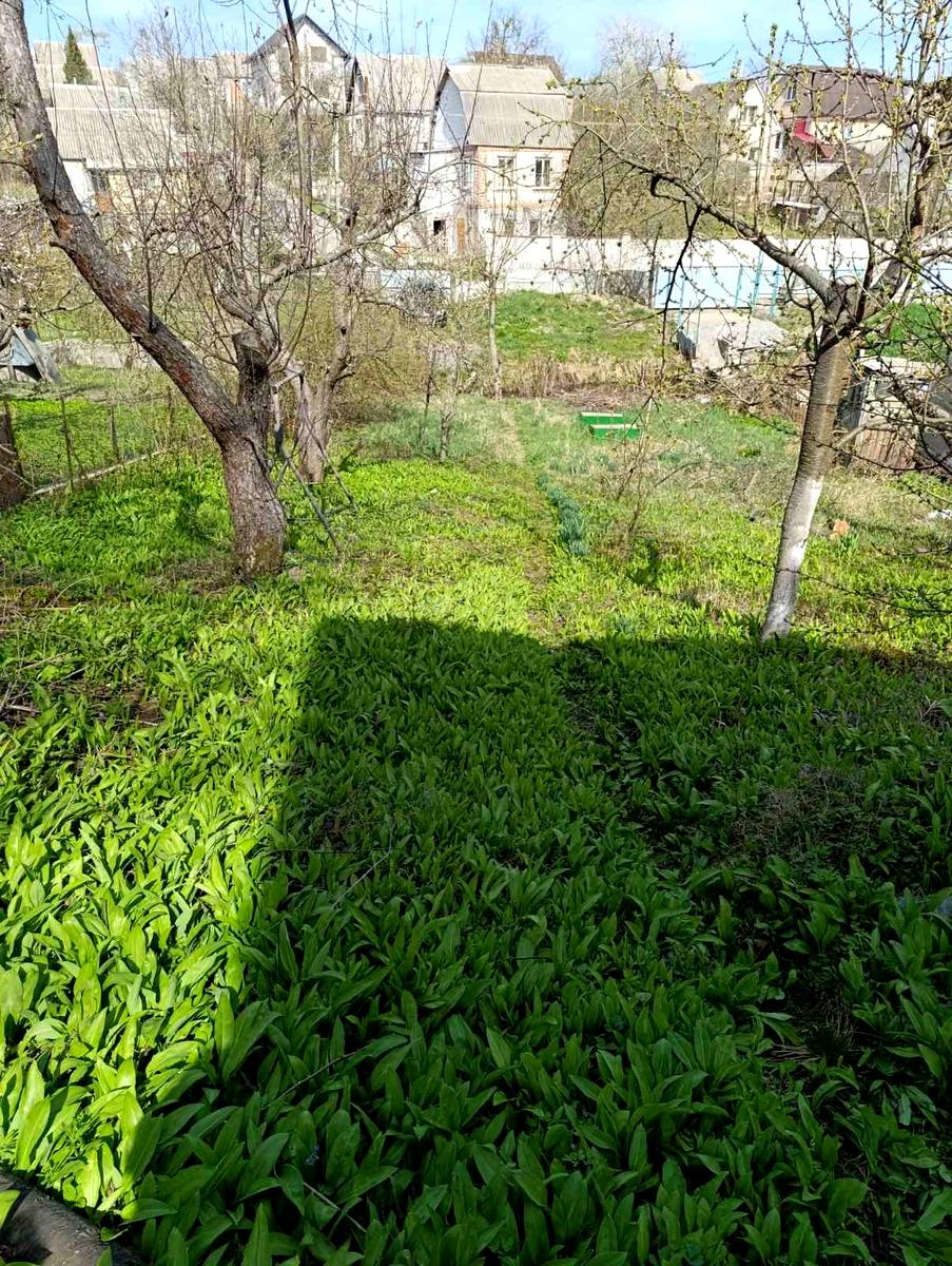 Будинок за адресою вул. Променева (площа 24 м²) - Atlanta.ua - фото 11