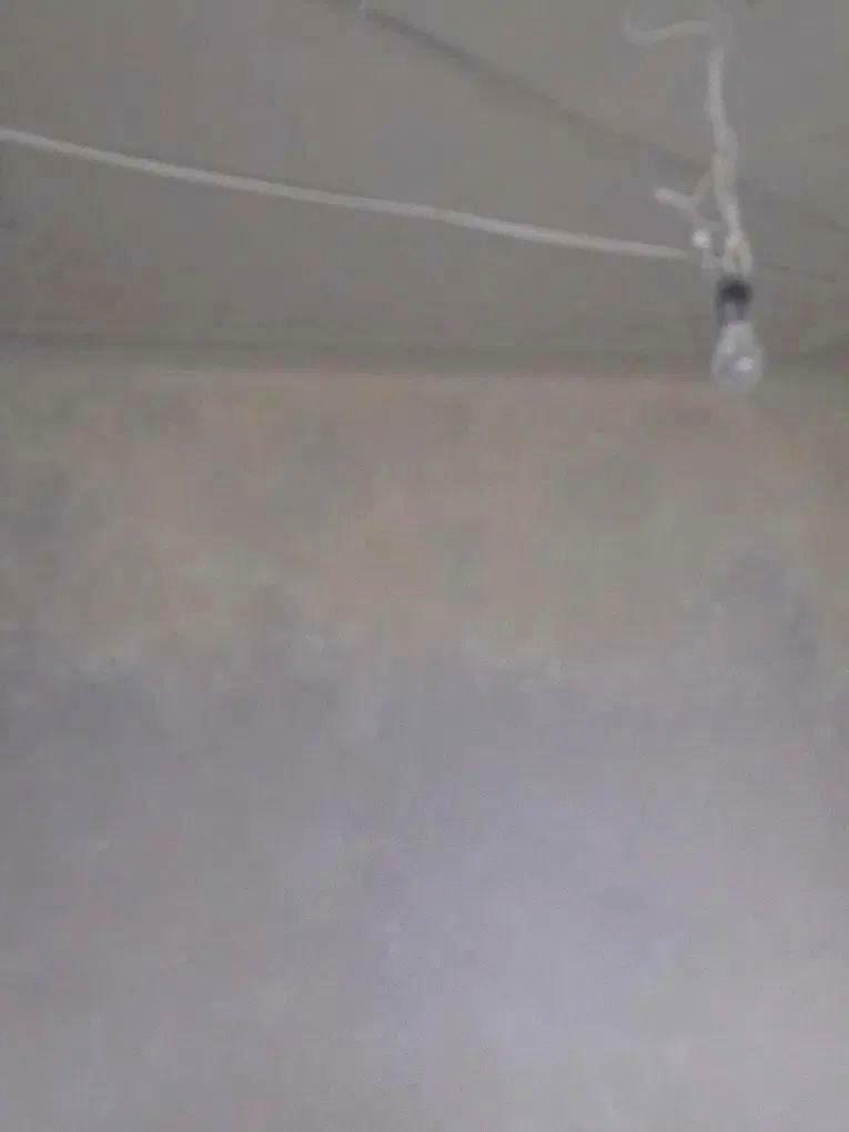 1837239819787627