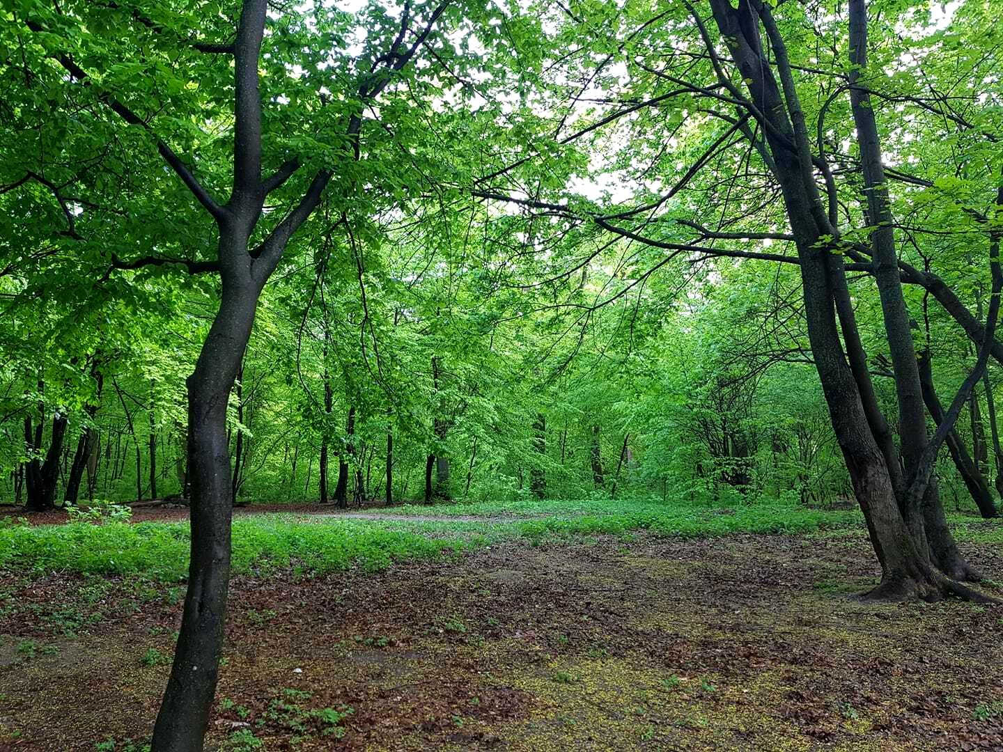 House by the address st. Per Gomelskiy (area 122 m²) - Atlanta.ua - photo 20