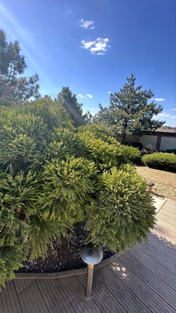 House by the address (area 450 m²) - Atlanta.ua - photo 13