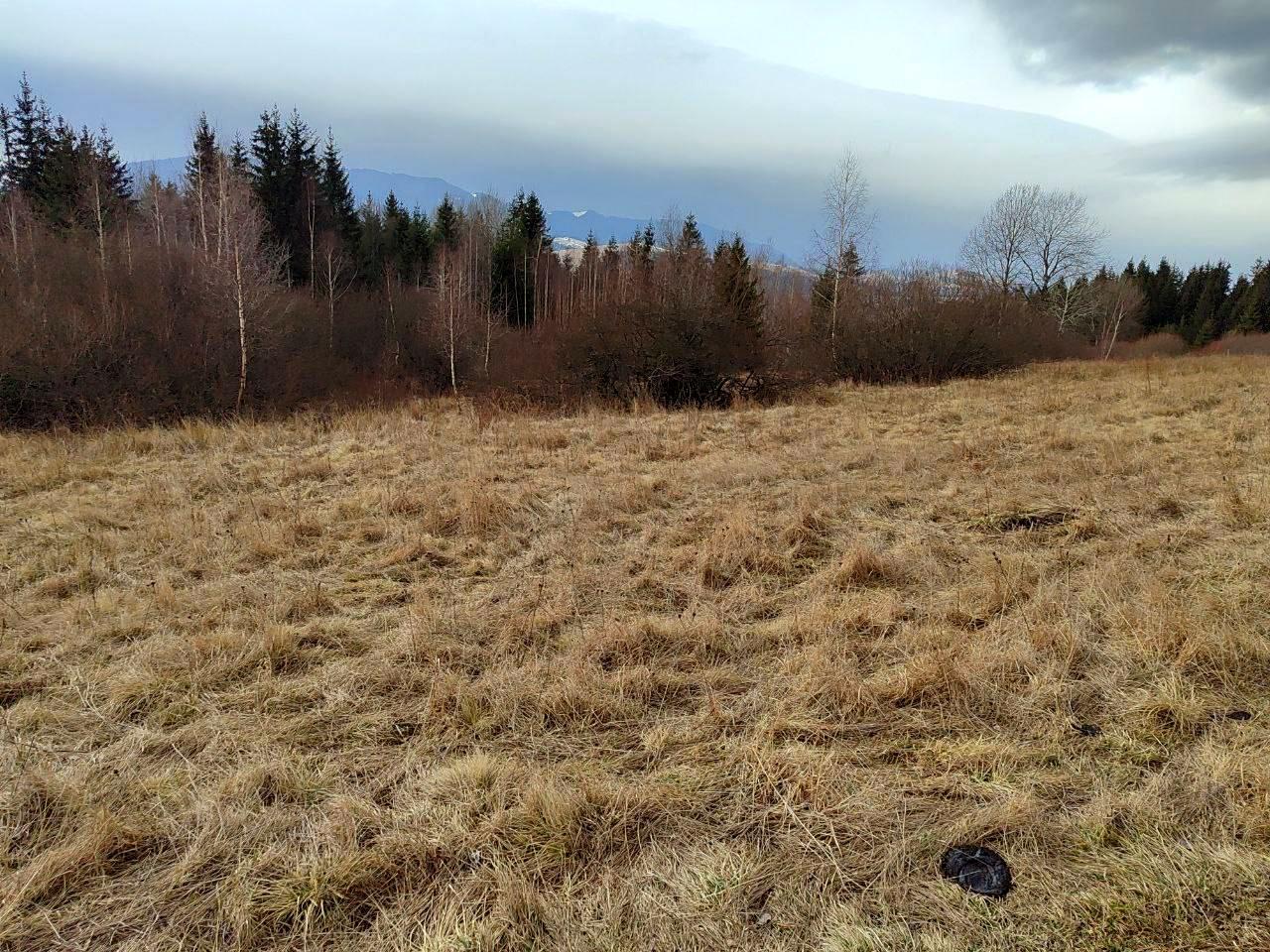 1842340642208630
