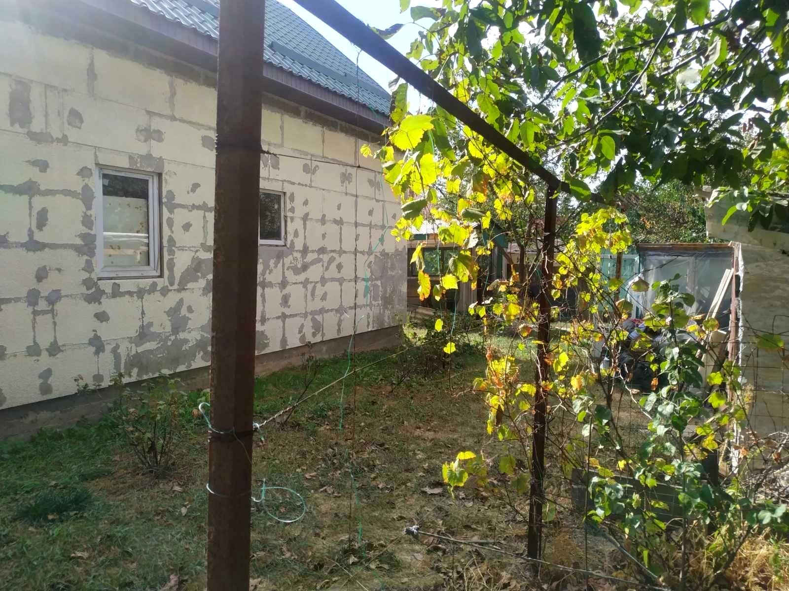 1825774458719635
