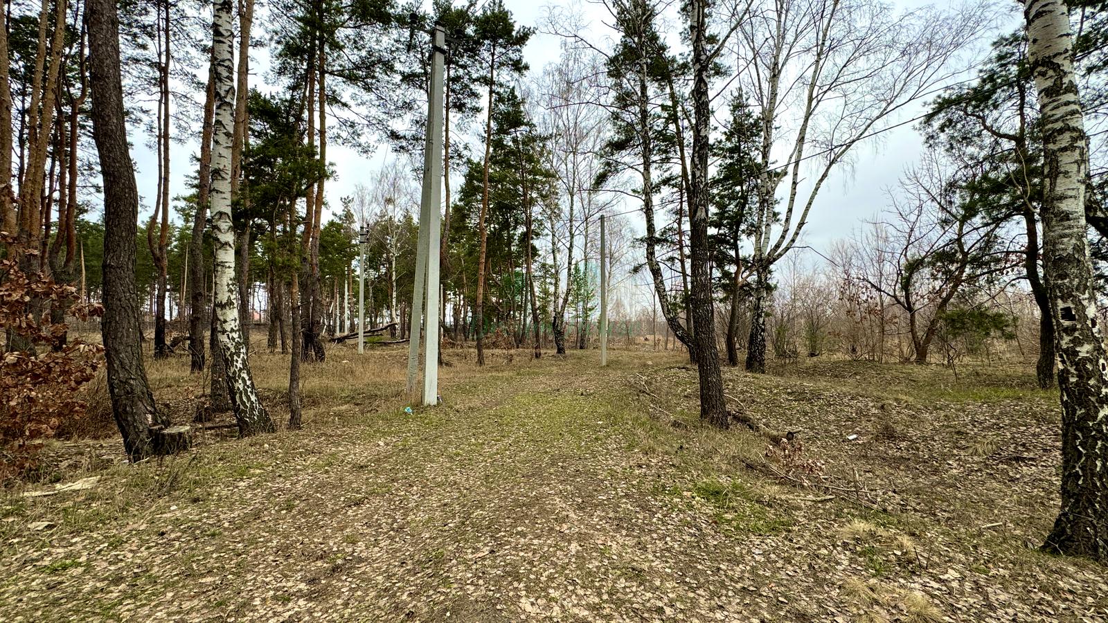 1794528380234636