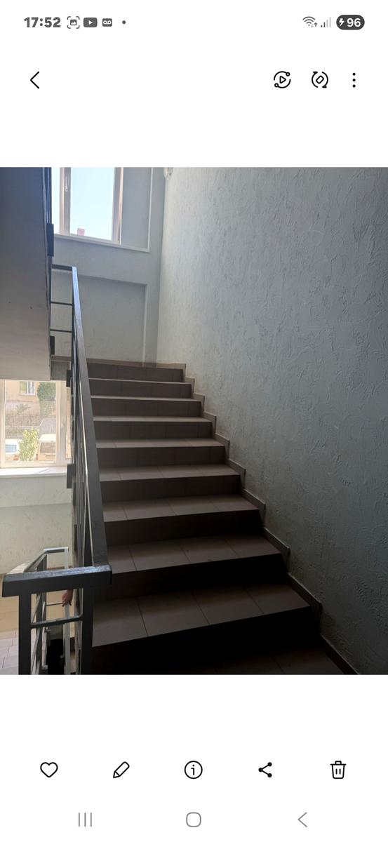 1846501925437636