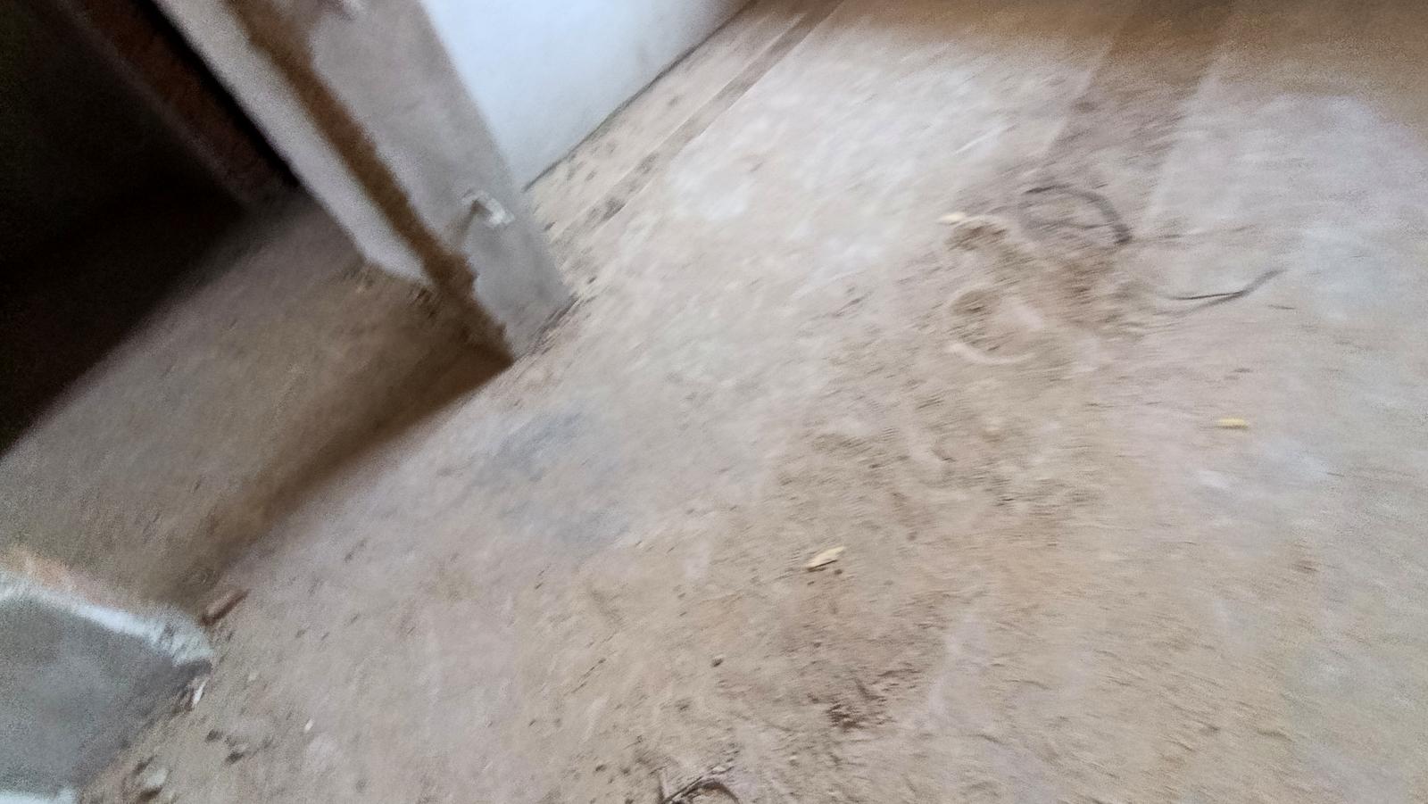 1842275325490638