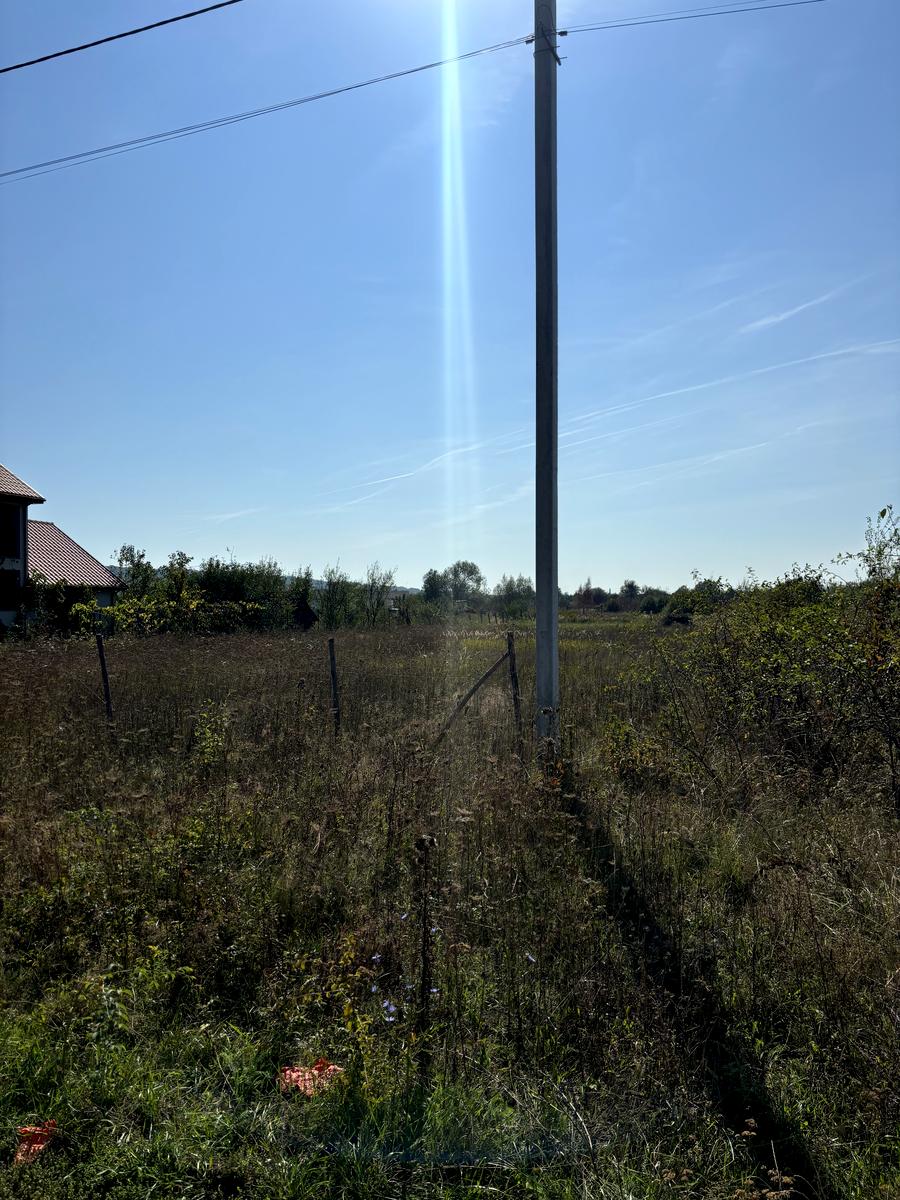 1812157712601647