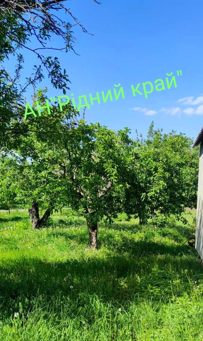 1825280852002655