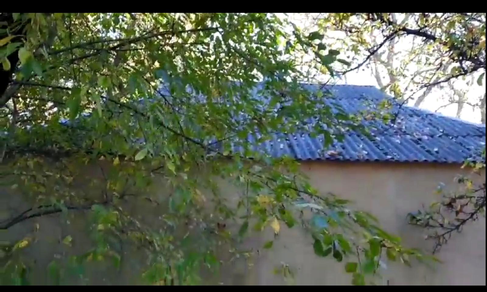 1828103969517655