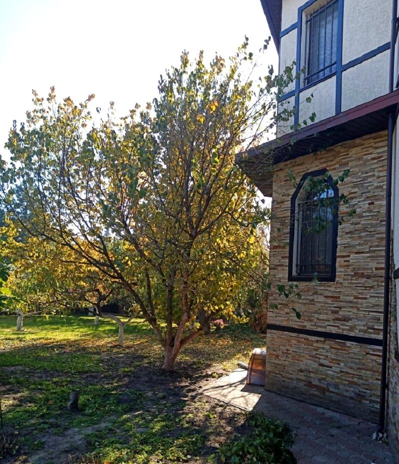 Об'єкт знятий з продажі - Atlanta.ua