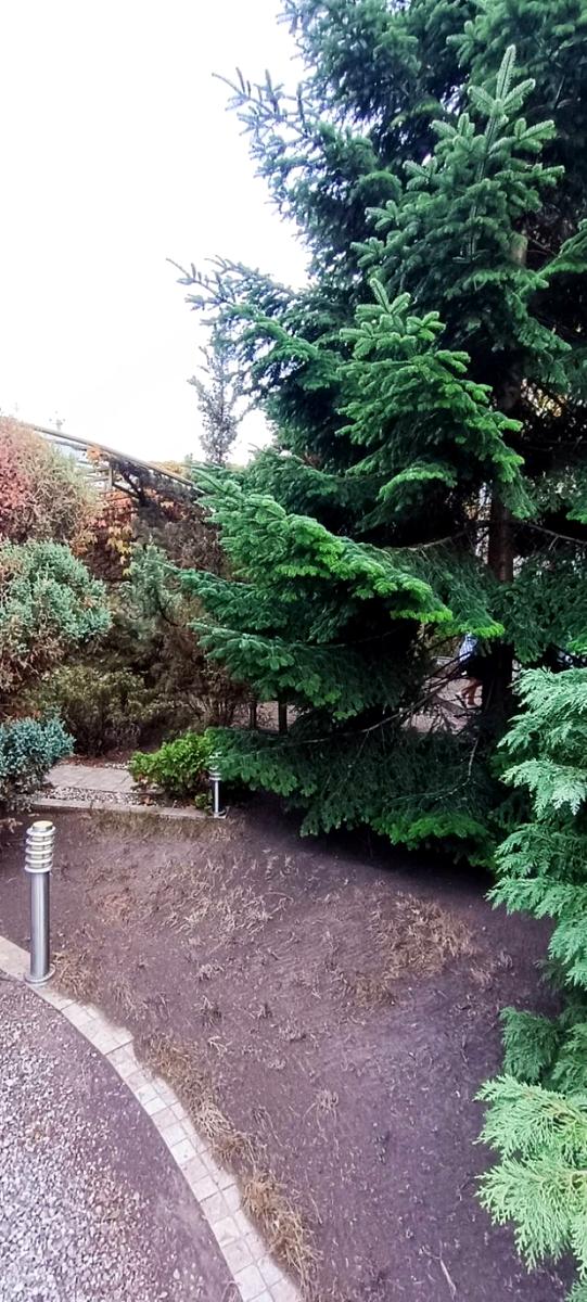 Будинок за адресою вул. Дачна (площа 250 м²) - Atlanta.ua - фото 10