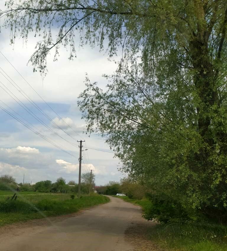 1766411588720677