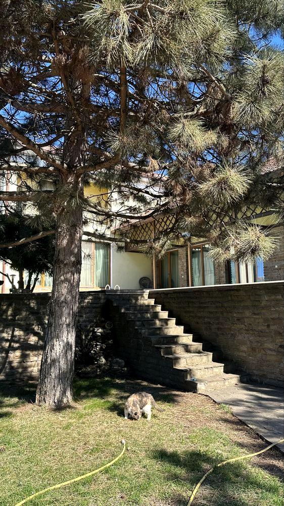 House by the address (area 450 m²) - Atlanta.ua - photo 18