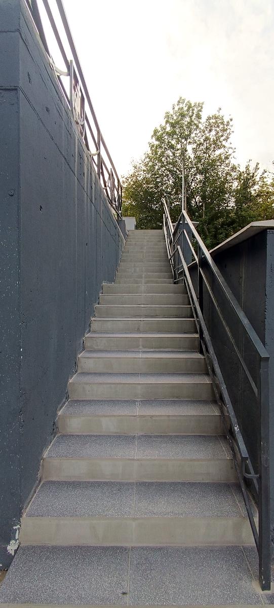 1843242195756682