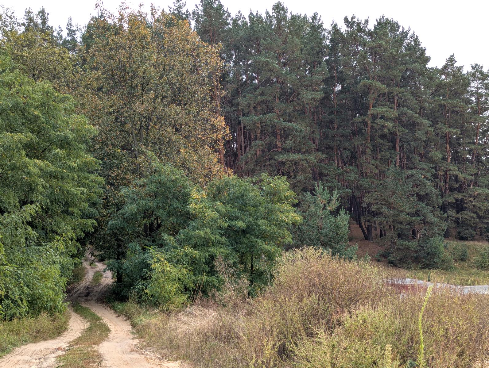 Будинок за адресою (площа 157 м²) - Atlanta.ua - фото 6
