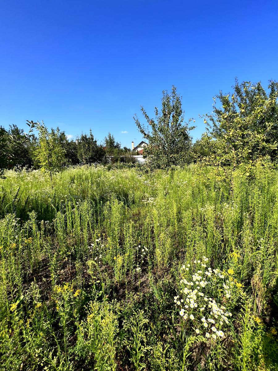 Дом по адресу (площадь 305 м²) - Atlanta.ua - фото 97