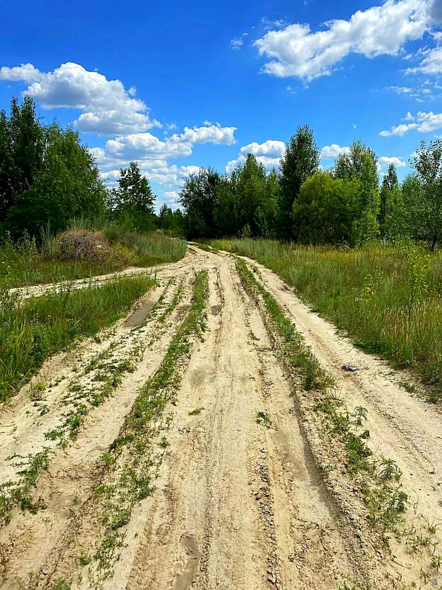 1779857528427690