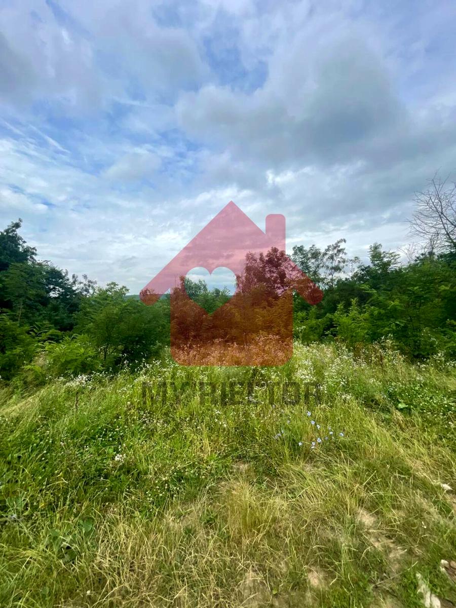 1823393170141694.jpg