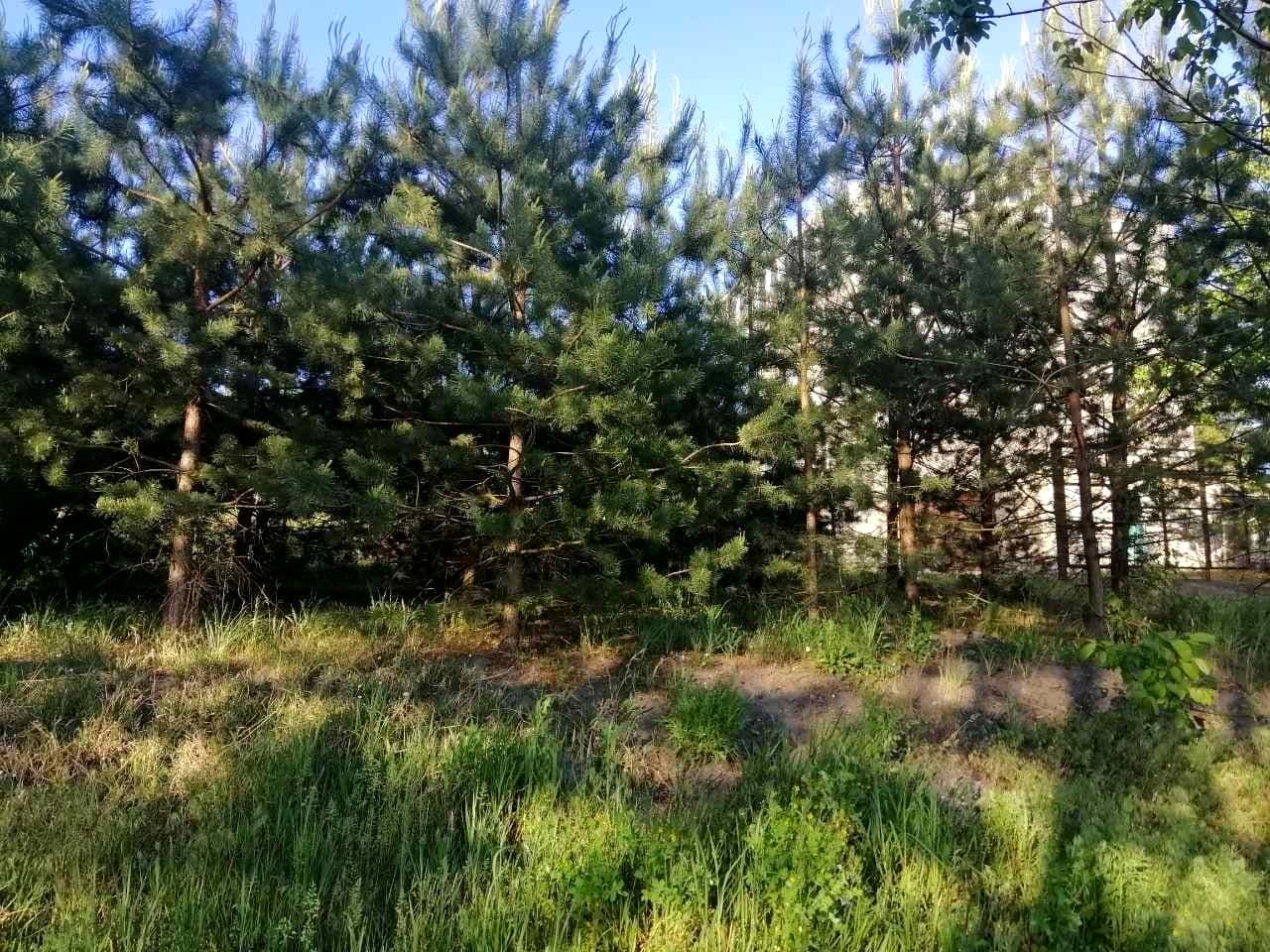 1767333677526703