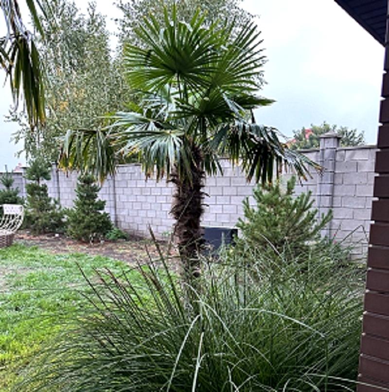 House by the address st. Ayvazovskogo (area 200 m²) - Atlanta.ua - photo 6