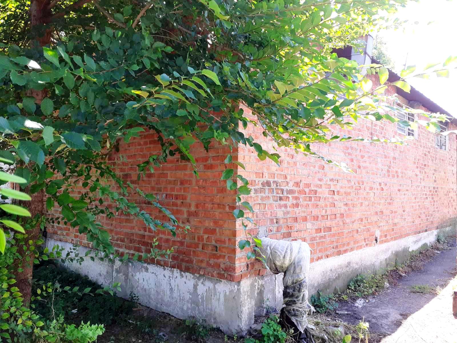 1772466361788719