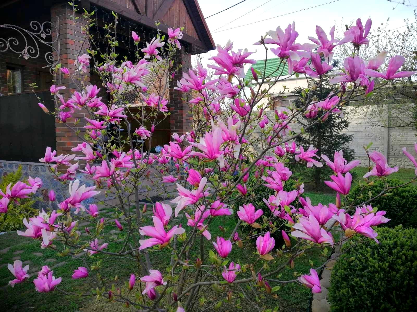 Дом по адресу ул. Варшавская (площадь 67 м²) - Atlanta.ua - фото 14