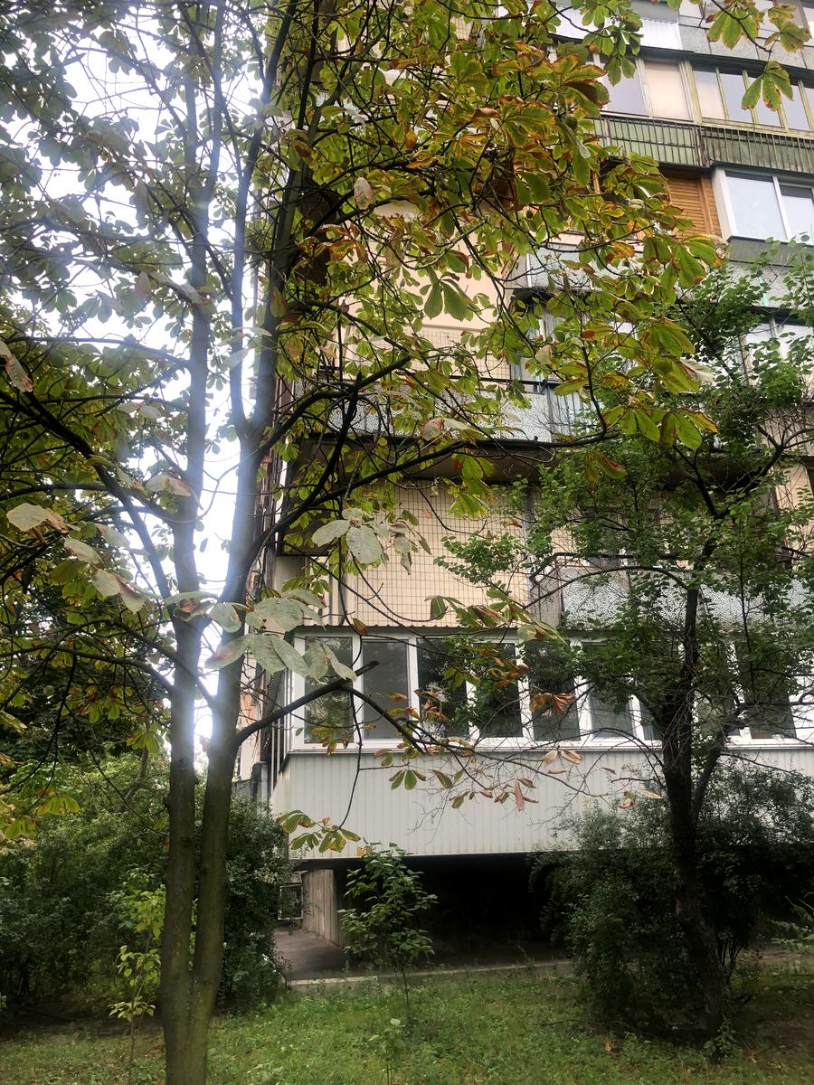 1710149071333733
