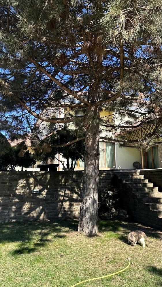 House by the address (area 450 m²) - Atlanta.ua - photo 12