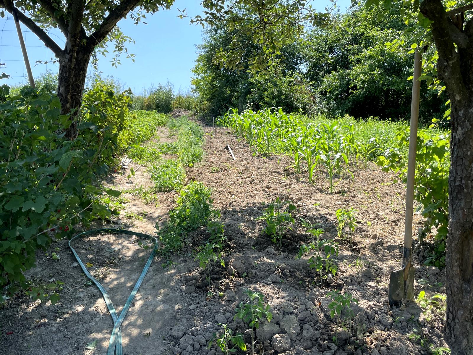 Будинок за адресою вул. Соборна (площа 39,3 м²) - Atlanta.ua - фото 18