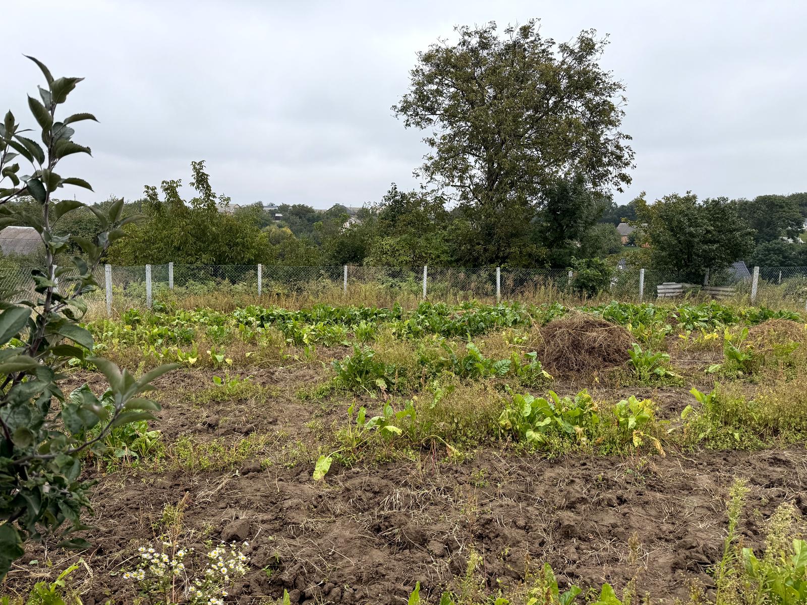 House by the address st. Sagaydachnogo (area 124 m²) - Atlanta.ua - photo 22