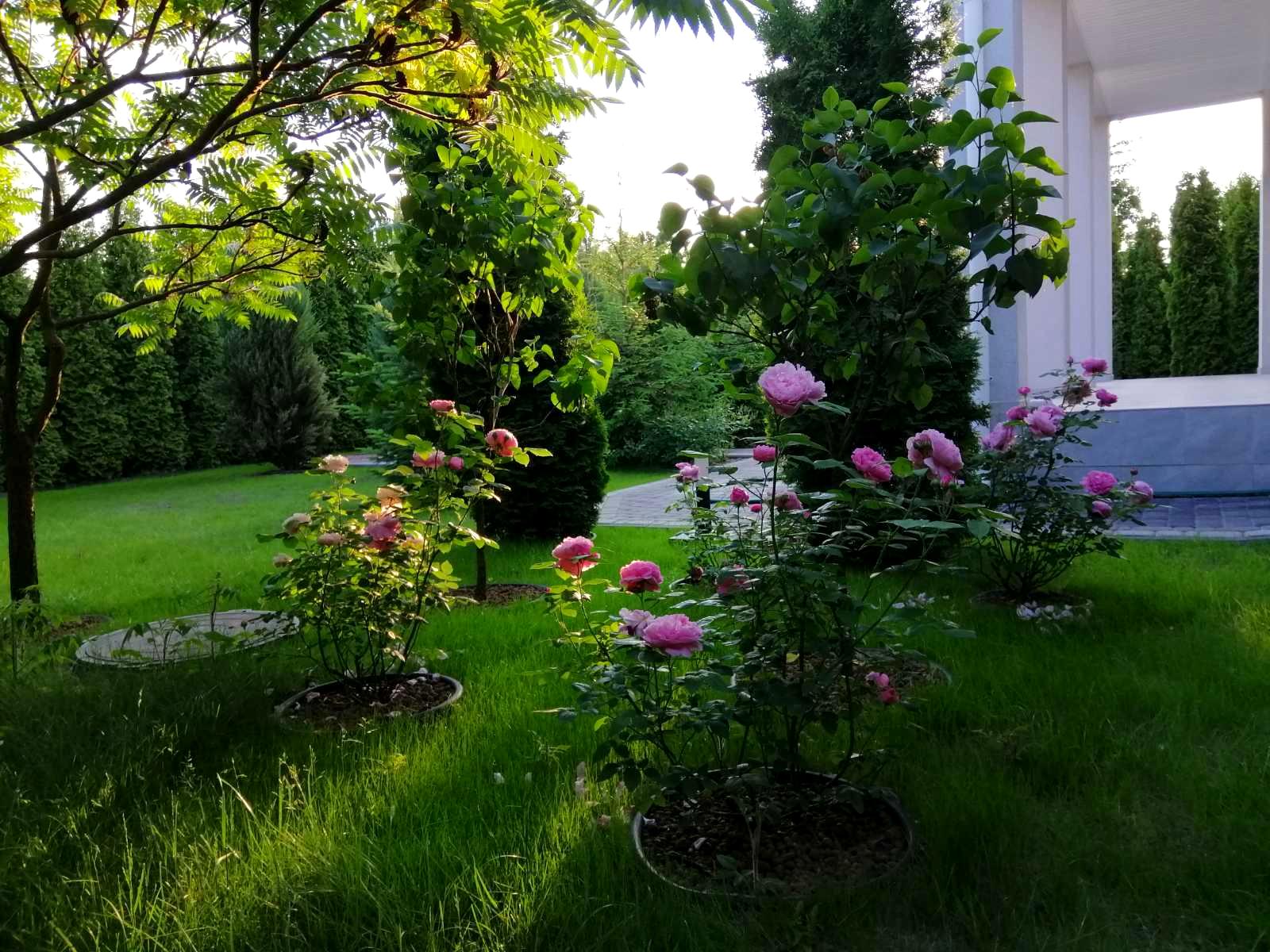 Дом по адресу (площадь 250 м²) - Atlanta.ua - фото 8