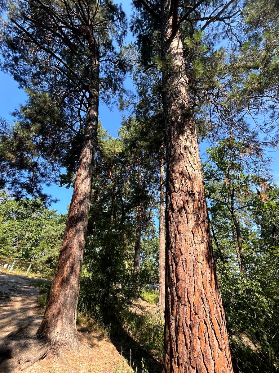 Дом по адресу (площадь 87,7 м²) - Atlanta.ua - фото 17