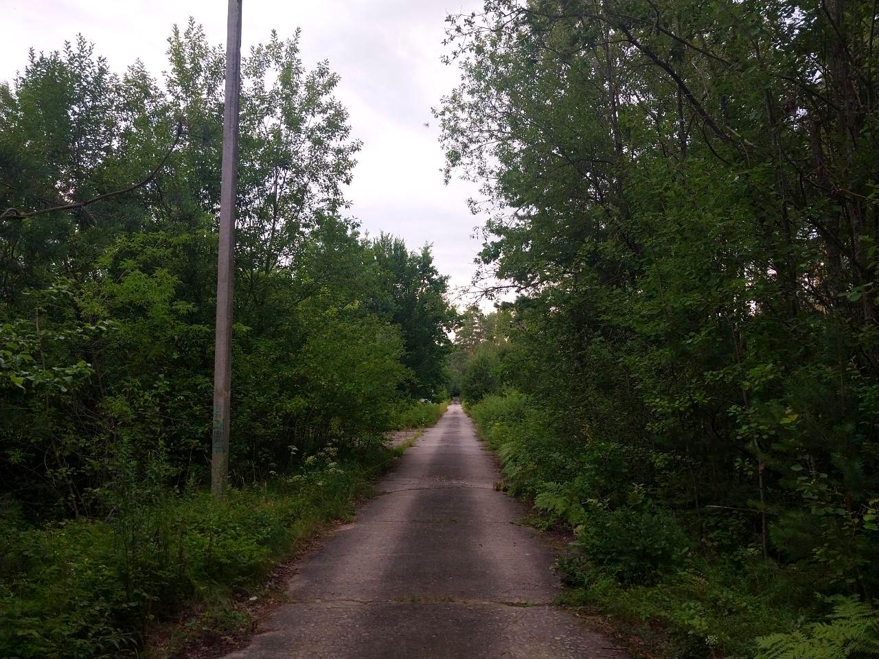 1839816203713764