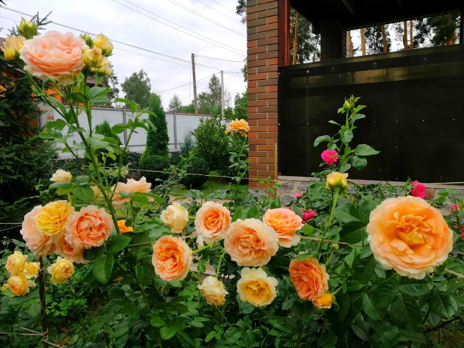 Дом по адресу ул. Варшавская (площадь 67 м²) - Atlanta.ua - фото 16