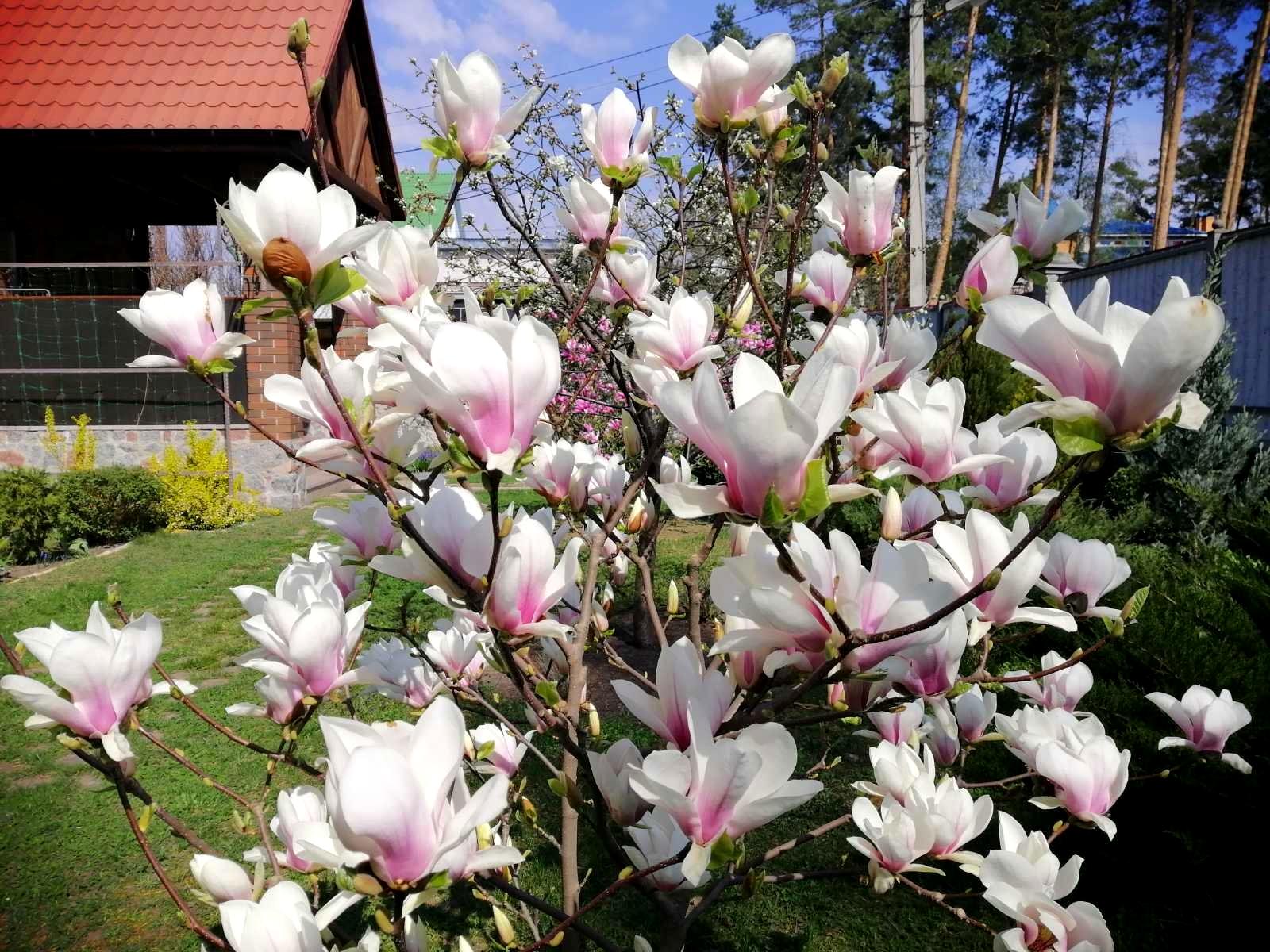 Дом по адресу ул. Варшавская (площадь 67 м²) - Atlanta.ua - фото 10