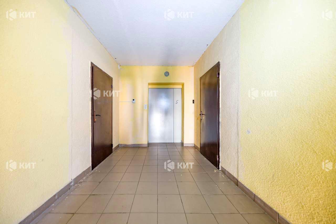 1845857244448772